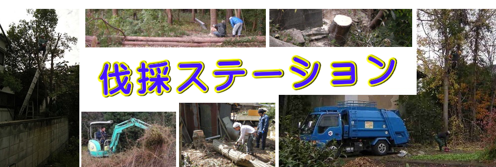 京都市南区の庭木伐採、立木枝落し、草刈りを承ります。